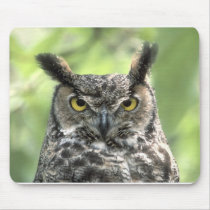 Owl Photograph mousepads