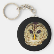 Owl Picture Keychains