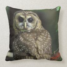 OWL PILLOWS