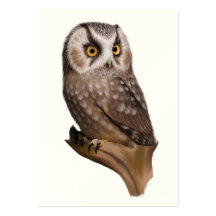 Owl Portrait ACEO Art Trading Cards Business Cards