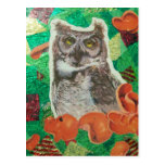 Owl Postcard