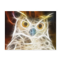 Owl Powerful Look Postcards