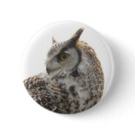 Owl Profile Portrait Photo Pin