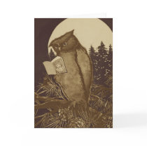 Owl  Reading by Moonlight Cards