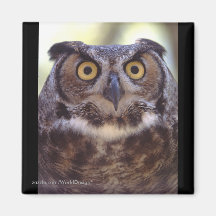 Owl Refrigerator Magnets