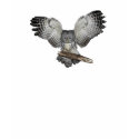 Owl - Sacred Spirit T-Shirt