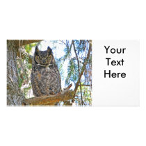 Owl Stare Custom Photo Card