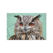 Owl Stretched Canvas Print