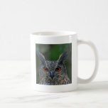 Owl Themed Mugs, Magnets, Necklaces and more