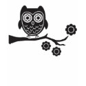 Owl t-shirts