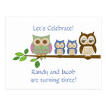 Owl Twin Boys Birthday Invite Post Card