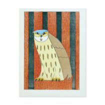 "Owl"  Vintage Illustration Post Cards