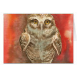 Owl 'Wisdom' Card