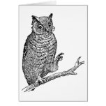 Owl With Glasses cards