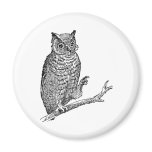 Owl With Glasses magnets