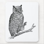 Owl With Glasses mousepads