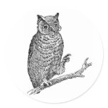 Owl With Glasses stickers
