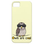 Owls are cool