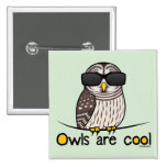 Owls are cool! pin