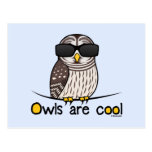 Owls are cool post cards