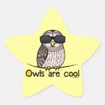 Owls are cool star sticker