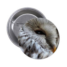 OWLS BUTTONS