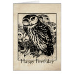 Owls Cards