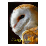 OWLS GREETING CARDS