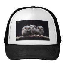 Owls Hats