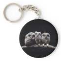 Owls keychains