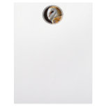 OWLS letterhead