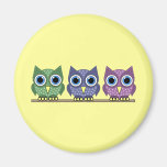 owls magnet