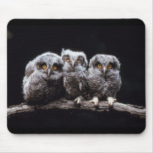 Owls Mousepad