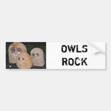 OWLS ROCK BUMPER STICKER