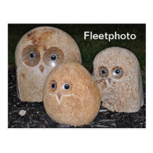 Owls Rock Postcards