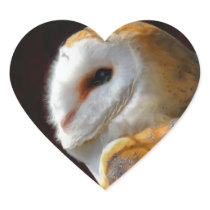 OWLS STICKER
