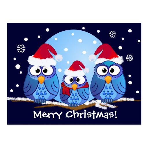 Owls with Santa hats Postcards