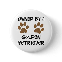 Owned By A Golden Retriever
