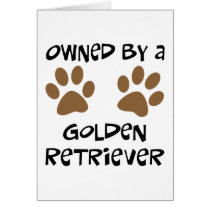 Owned By A Golden Retriever