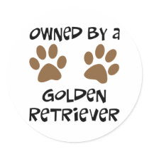 Owned By A Golden Retriever
