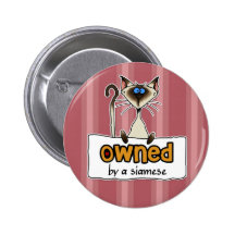 owned by a siamese button