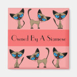 Owned By A Siamese Magnet