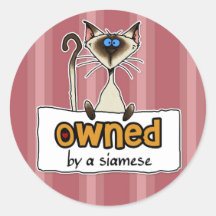 owned by a siamese round stickers