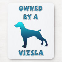 Owned by a Vizsla
