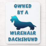 Owned by a Wirehair Dachshund