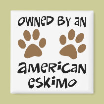 Owned By An American Eskimo magnets