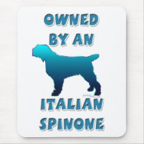 Owned by an Italian Spinone
