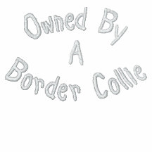 Owned By Border Collie Embroidered Ladies T Shirt