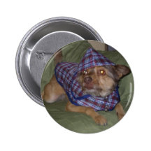 Owo's pets: Scooby Pinback Buttons