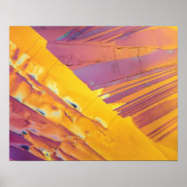 Oxalic Acid Crystals Print